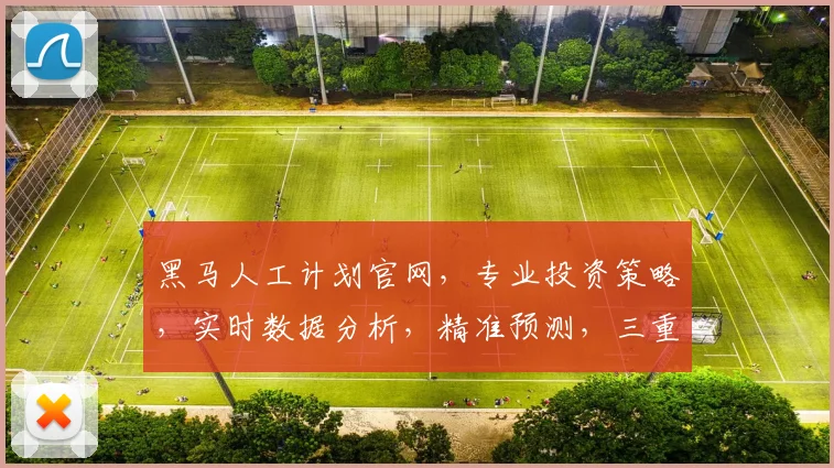 黑马人工计划官网，专业投资策略，实时数据分析，精准预测，三重保障，值得信赖，不容错过