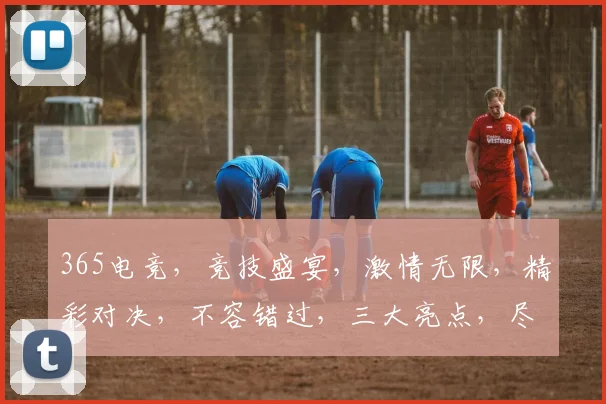365电竞，竞技盛宴，激情无限，精彩对决，不容错过，三大亮点，尽在掌握