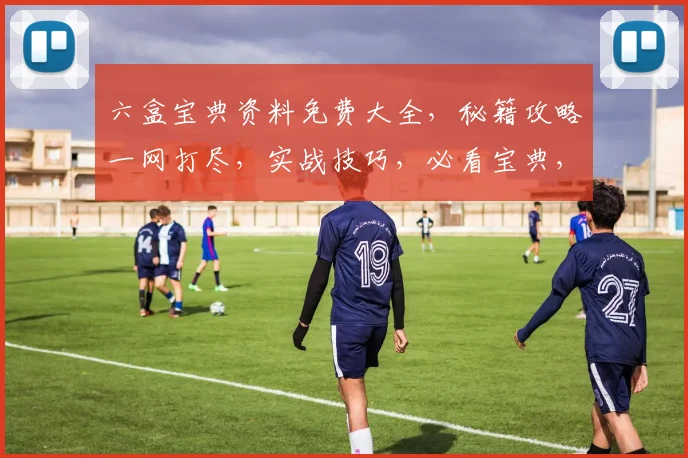六盒宝典资料免费大全，秘籍攻略一网打尽，实战技巧，必看宝典，三步掌握